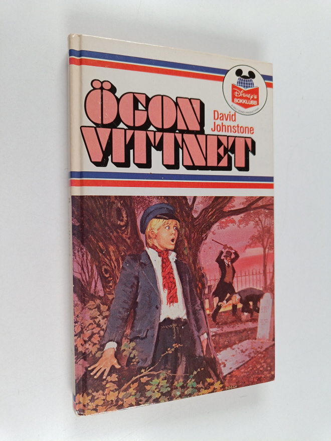 David Johnstone : Ögonvittnet