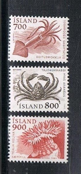 Islanti 1985 - Vesieläimiä (3)  ++