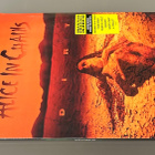 Alice In Chains: Dirt -LP, LTD, uusi - pikkukuva 5