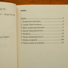 James Dashner Maze Runner I Labyrintti - pikkukuva 3