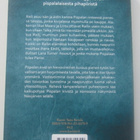 Pispalan kiviä - Kristiina Harjula - pikkukuva 2