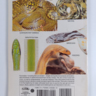 Jerry G. Walls : Rat snakes - pikkukuva 2