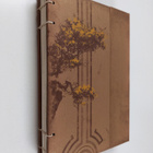 Eric S. Nylund : Halo Reach book : Dr. Halsey's Journal - pikkukuva 1