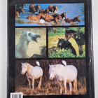 Robert Vavra : Such is the real nature of horses - pikkukuva 2
