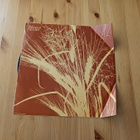 Karen Beth – Harvest lp 1970 Soft Rock, Folk ex - pikkukuva 4