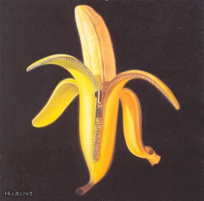 The Dandy Warhols ** Welcome To The Monkey House ** CD