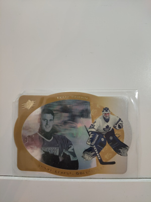 1996-97 SPx - Gold #44 Felix Potvin