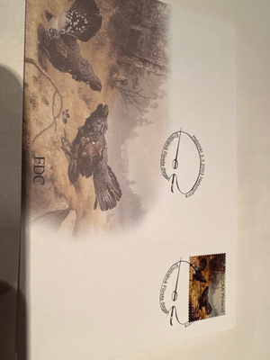 Suomalainen Ensipäiväkuori