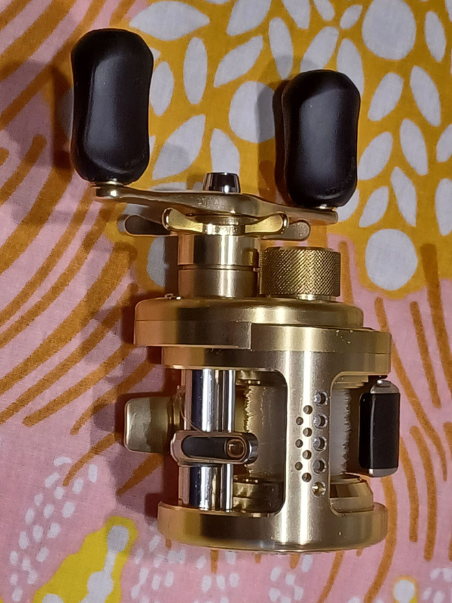 Shimano Calcutta Conguest 100