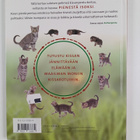 Lisa Magloff : Pienestä isoksi : kissanpentu - pikkukuva 2