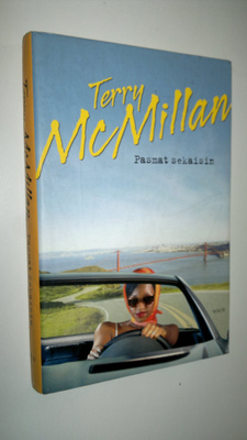 Terry McMillan : Pasmat sekaisin