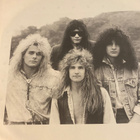 White Lion: Pride 1987 LP - pikkukuva 2