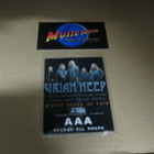 URIAH HEEP - 40TH ANNIVERSARY KIERTUE 2010 BACKSTAGE PASSI . - pikkukuva 2