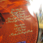 CHILDREN OF BODOM:SOMETHING WILD  KUVA LP - pikkukuva 4