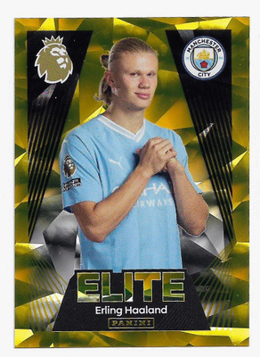 2024 Panini Premier League Sticker Elite #427 Erling Haaland