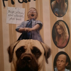 Frank dvd - pikkukuva 1