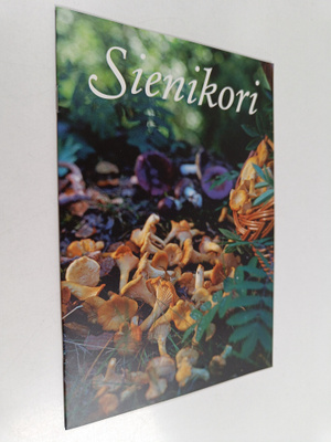 Irma Järvinen : Sienikori