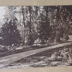 Helsinki, Oulunkylä, Villa Fazer, puistonäkymä, ei p. - pikkukuva 1