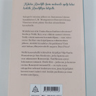 Vilja-Tuulia Huotarinen : Emilia Kent : runotytön tarina ... - pikkukuva 2