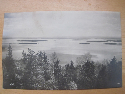 VANHA Postikortti Koli 1928