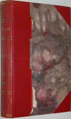 Nuori Suomi 1909-1910 (sidottu vuosikerta) : kirjallistai...