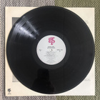 LEE RITENOUR: Earth Run (LP) 1986 - pikkukuva 5