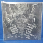 HORNA - KUN SYNKKÄ IKUISUUS AVAUTUU M-/M- GER 2010 LP - pikkukuva 2