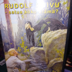 DVD Rudolf Koivu : Satua koko elämä ( SIS POSTIKULU ) - pikkukuva 1