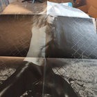 LP David Lee Roth - pikkukuva 5