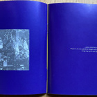 CD Paul McCartney– Flowers in the Dirt (The P.M. Collection) - pikkukuva 5