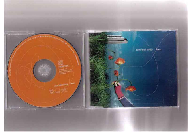 CDS Sweet Female Attitude-Flowers