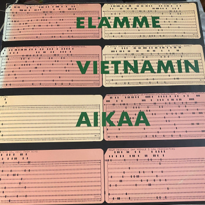 Elämme Vietnamin aikaa (Love Records, 1973