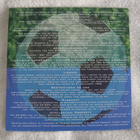 PC: World Of Football 1998 (uusi) - pikkukuva 2