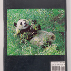 Clive Roots : The Bamboo Bears : Life and Troubled Times ... - pikkukuva 2
