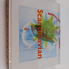 Katherine E. Nelson : New Scandinavian design - pikkukuva 1