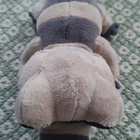 Pokemon Sandile -pehmolelu - pikkukuva 5