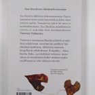 Benedicta Idefelt : Valo jota seurasin - pikkukuva 2