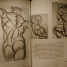 Burne Hogarth : DYNAMIC ANATOMY ( 1990 nide ) Sis.pk:t - pikkukuva 4