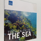 The Health of the Sea - pikkukuva 1