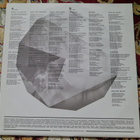 Zebra And Snake – Healing Music LP - pikkukuva 5