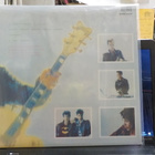 FLESH FOR LULU - I GO CRAZY EX+/EX+ 12" MAXI - pikkukuva 2