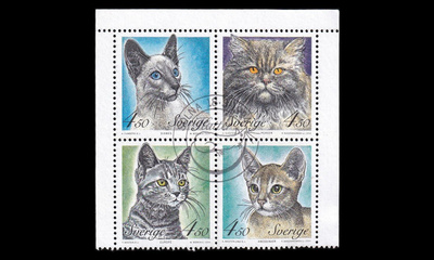 Ruotsi 1813-6n o Kissoja (1994)