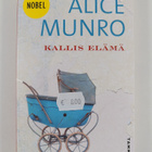 Alice Munro : Kallis elämä - pikkukuva 1