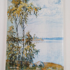 Salon kuiske 2005 : Saarikylien nuorisoseura 100 vuotta - pikkukuva 2