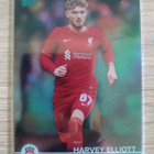 Harvey Elliott numeroitu 10/150 - pikkukuva 1