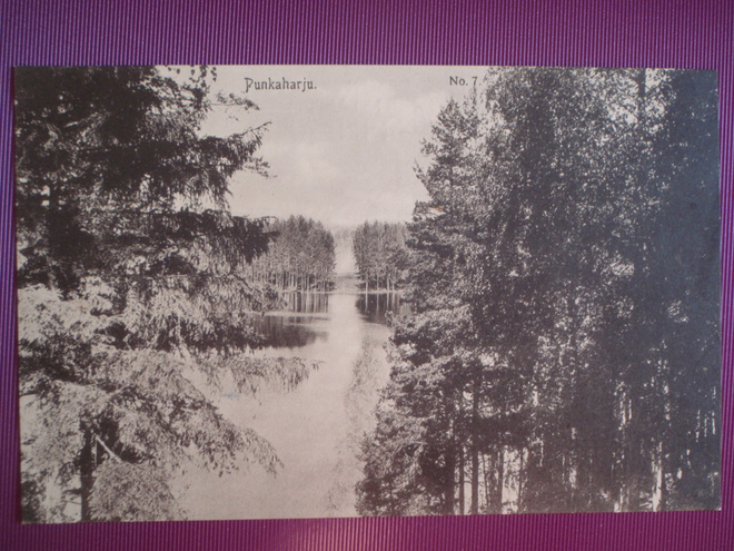 Punkaharju maisema