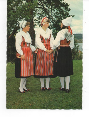 Kansantassipukuja (leksandräkt) Taalainmaa. Ruotsi