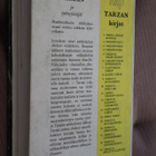 E. R. Burroughs : Tarzan ja tytönryöstäjät ( 1.p. ) - pikkukuva 2