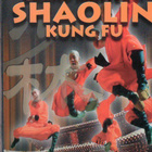 GRAND MASTER OF SHAOLIN KUNG FU	(16 916)	k	-US-	DVD - pikkukuva 1