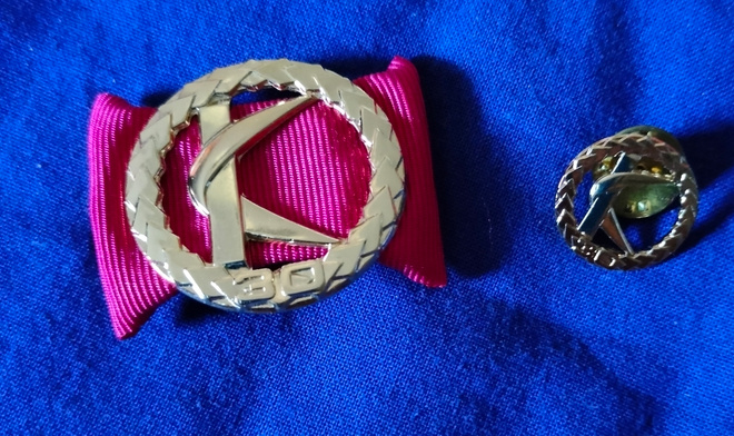 Kuntaliitto Kultainen ansiomerkki 30 v
